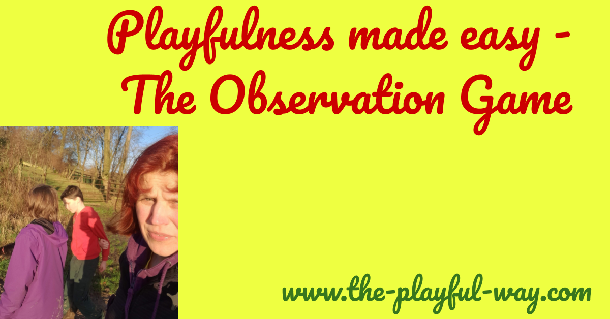 cover picture - the observation game